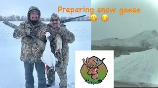 How to cook a snow geese 😋 😋 #snowgeese #cooking #wildgame #outdoors
