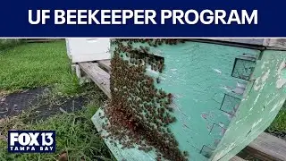 Florida Beekeepers get boost on World Honey Bee Day