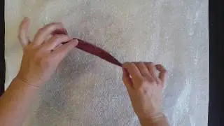 Wet Felting Octopus Legs