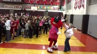 hickory hornets harlem shake 2