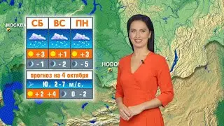 Weather forecast for October 4 in Novosibirsk