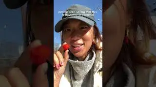 Strawberry tree fruit (Arbutus) vs