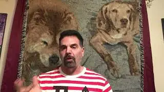 Развод/Домашнее насилие в гетеросексуальных/гей/лесбийских парах #развод #психология #брак