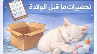 تحضيرات ولادة لولي ❤️❤️❤️