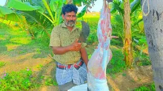 Full Goat Meat Cutting Skill / Village Style Cutting / Professional Cutter / CT 360*🔪