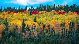 1hour Happy thanksgiving dinner music |Rock music instrumentals🍷#thanksgivngmusic #friendsgiving