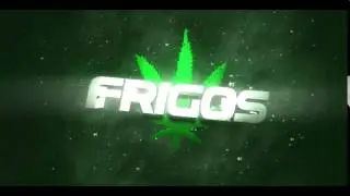 Intro to Frigos