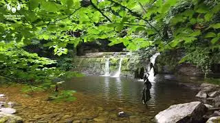 Cotter Force Walk