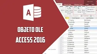 Access 2016 – Objeto OLE - Video 17
