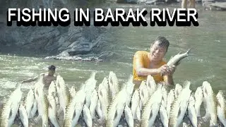 FISHING IN BARAK RIVER || BIG BIG FISH
