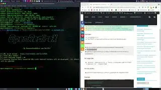 OpenRedireX: Asynchronous Open redirect Fuzzer for Humans