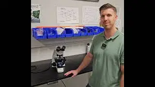 The BEST Budget Microscope for Vets & Labs? Accu-Scope 3000 LED Review!