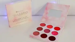 Shaaanxo BH Cosmetics Palette Swatches & Review