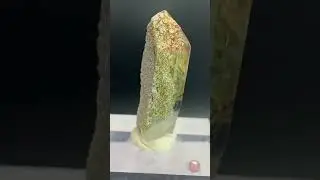 Extremely beautiful Chlorite included Quartz crystal. #dailyshorts #quartz #quartzcrystals #usa #uk