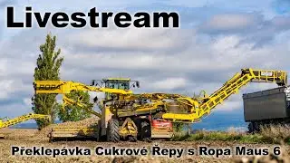 Livestream | Překlepávka Cukrové Řepy | Ropa Maus 6