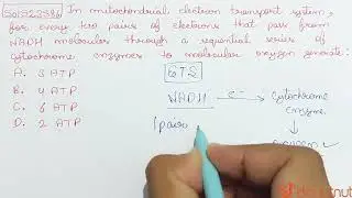 In mitochondrial electron transport system, for every two pairs of electrons that pass from NADH...