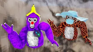 Am I A Gorilla Tag Pro?