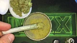 Trenchtown Twax Joint