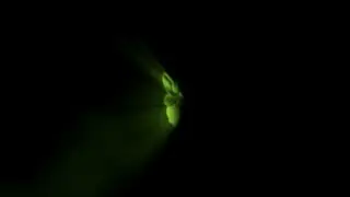 Free Quick Ray Spotlight Intro Template #79 Adobe After Effects Free Download