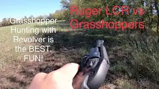 Ruger LCR .22 vs Grasshopper. Affordable and Fun.