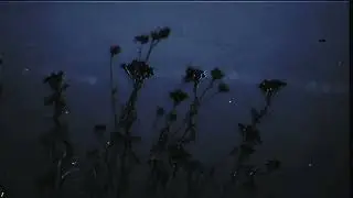 [FREE] | pyrokinesis, mzlff, playingtheangel type beat &mdash; Воспоминание (полжизни впустую prod.)