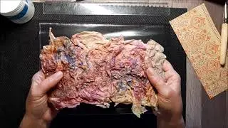 (42) Utilisation des sous-couches de serviettes en papier (création d'enveloppes)