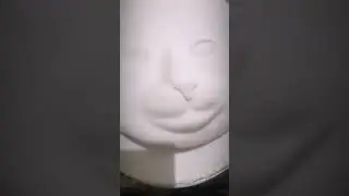 3D cat cake