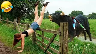 ПОПРОБУЙТЕ НЕ СМЕЯТЬСЯ 😂 Подборка смешных провалов🤭| ЛУЧШИЕ ПРИКОЛЫ 2025 года #4