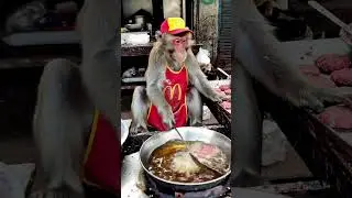 Monkey chef make McDonald&rsquo;s set for you guy 🐒🔥 #shorts #food #monkey