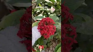 day in my life✨ mini vlog🎀 uni on weekend version🌸 #flowers #minivlog #dayinmylife #vlog #love