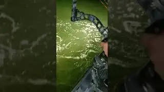 Bowfishing in the Gulf