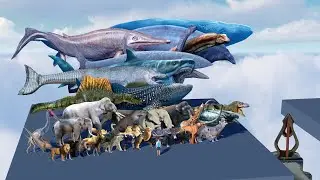 Animal Weight Comparison: Living and Prehistoric | The Heaviest Animal.