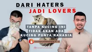 Ep 16 : Dari Benci Sama Kucing, Jadi Cinta Mati! Yang Phobia Kucing Wajib Masuk!