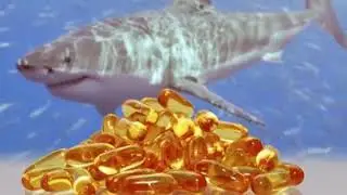 Health Benefits of Shark liver oil