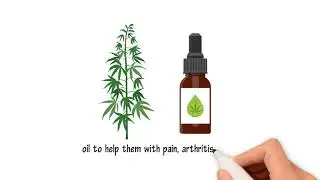 Cbd Oil 1
