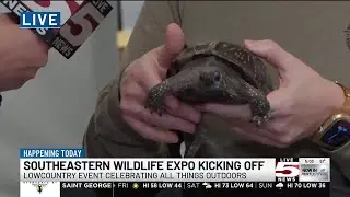 VIDEO: Charleston&rsquo;s annual wildlife exposition kicking off this weekend