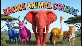 Safari Animal Colors Song 🦁🐘🦓🦒 | Learn Colors with Fun Safari Animals | Kids Songs