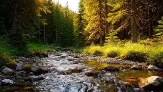 🌊 Peaceful Stream in the Forest | Relaxing Nature Sounds for Better Sleep 😌