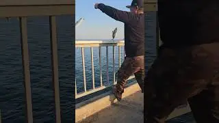 Two bonita's🤣🤣 Belmont Pier Long beach CA. #fishing #belmontpier #fishing #pierfishing