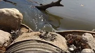 Where&rsquo;s the water in Rice Lake?