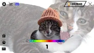 CatWifHat TUTORIAL PL #1