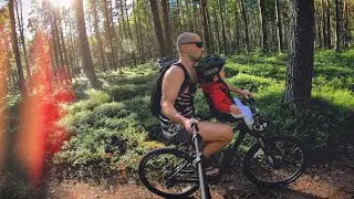 Лес 360&deg; ч.1 - в сосновом бору на велосипеде с полуторагодовалым малышом 🌳🌲💚