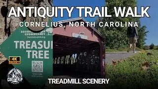 Antiquity Trail Walk [4K] | Davidson, NC | Treadmill Scenery #53