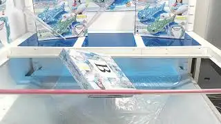 Toreba winning replay Whale Shark Float B #1 - Toreba Tips and Tricks