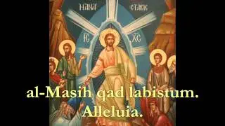 Baptized into Christ (Greek/French/Arabic)