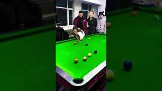 billiards table 8ball pool best player