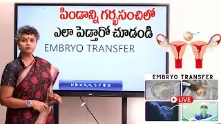 Embryo Transfer Instructions | పిండాన్ని గర్భసంచిలోకి పెట్టడం | Dr.C.Suvarchala #HealthUpdates