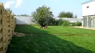 20140808 184439