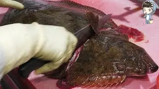 KOREAN STREET FOOD GIANT HALIBUT FLATFISH FLOUNDER SASHIMI KOREA SEAFOOD MARKET 포항 송도 광어 201126