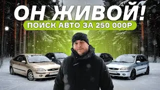 ОН ЖИВОЙ! Поиск авто за 250 000 рублей #automobile #подборавтомобилей #дядямиша